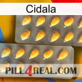 Cidala cialis2